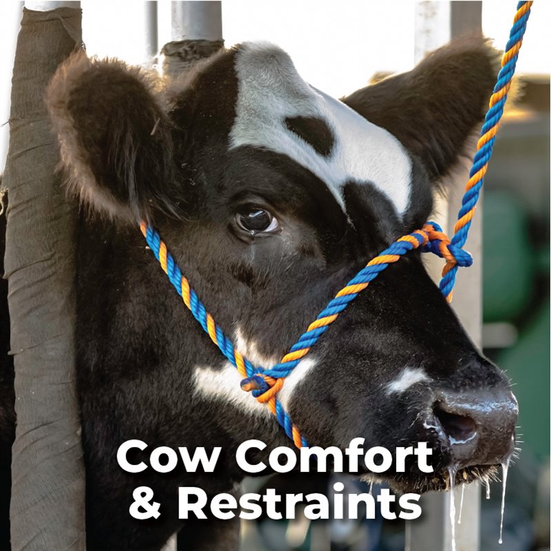 Cow Comfort & Restraints