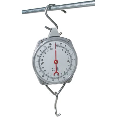 HANGING SCALE 10KG/22LB
