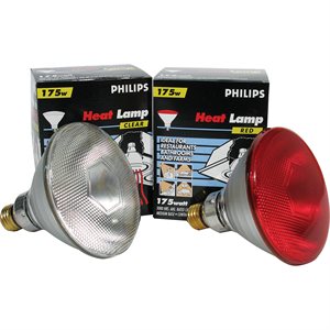 Philips Heat Bulb